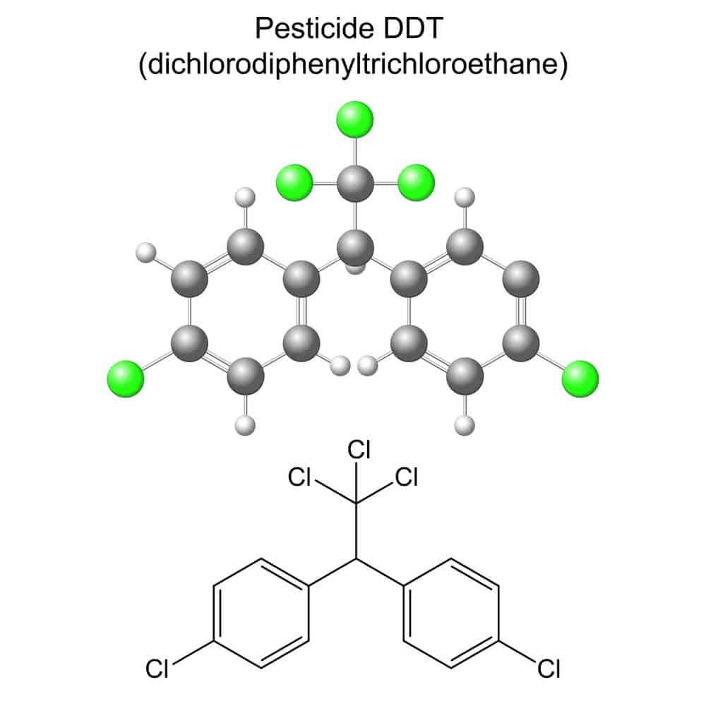 what is DDT 1