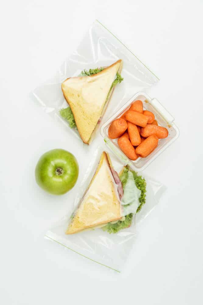 bestZero Waste Alternatives to Ziploc Bags