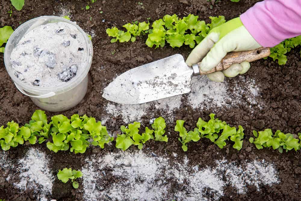 Does Eco-Friendly Pest Control Work? 1 Does Eco-Friendly Pest Control Work?