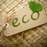 Does Eco-Friendly Mean Non-Toxic?