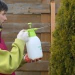 Does Eco-Friendly Pest Control Work?