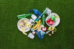 Is It Littering If It's Biodegradable?