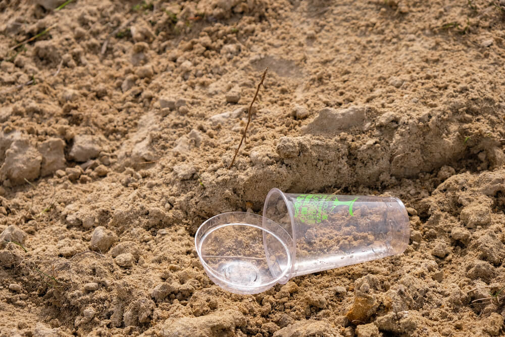 Plant Based Plastic Vs Biodegradable