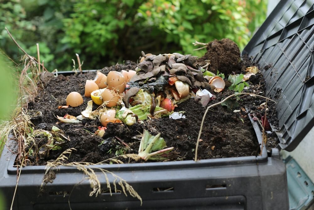 Are Compost Bags Biodegradable?