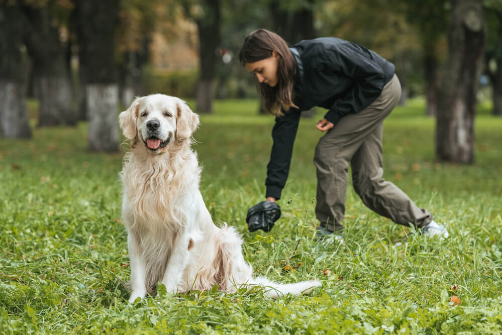 Is Animal Waste Biodegradable?