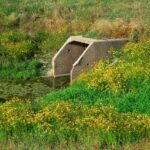 Is Wastewater Biodegradable?